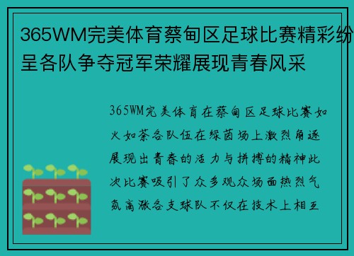 365WM完美体育蔡甸区足球比赛精彩纷呈各队争夺冠军荣耀展现青春风采