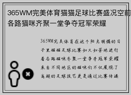365WM完美体育猫猫足球比赛盛况空前各路猫咪齐聚一堂争夺冠军荣耀